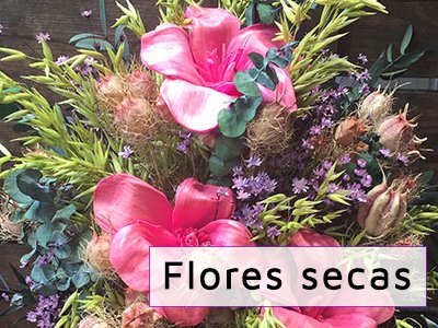 Flores secas Santander