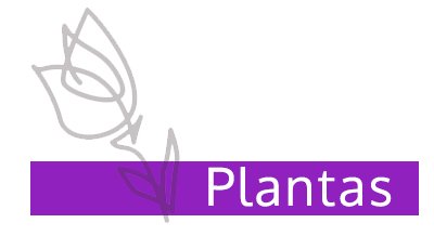 floreslucrecia-plantas2